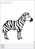 coloriage-zebre-2